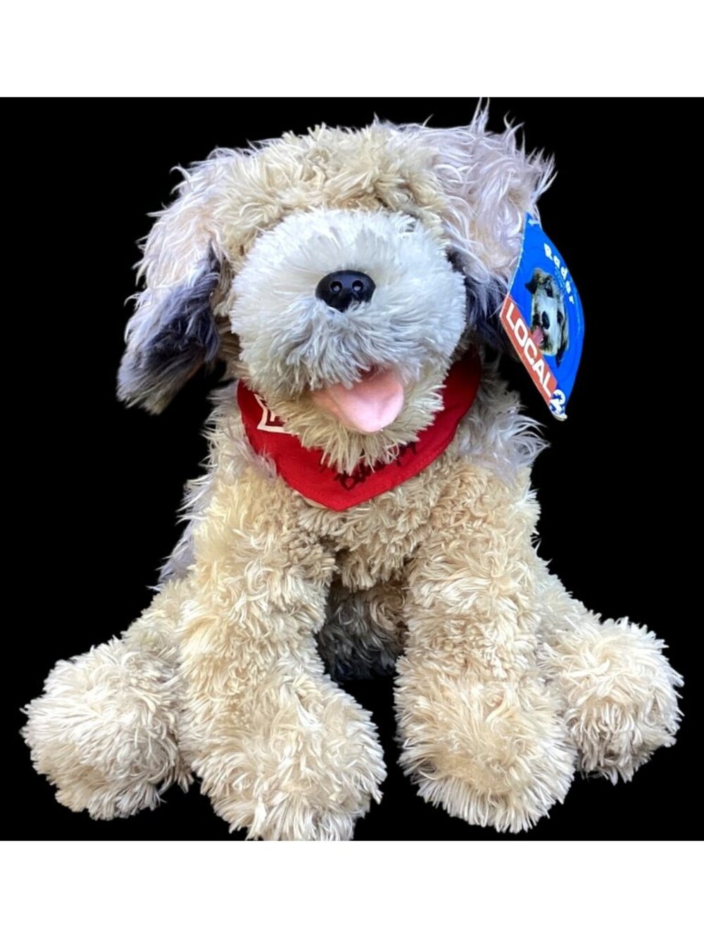 Foleys Radar Dog Plush Channel 2 Weatherdog Houston Signed by Frank Billingsley
